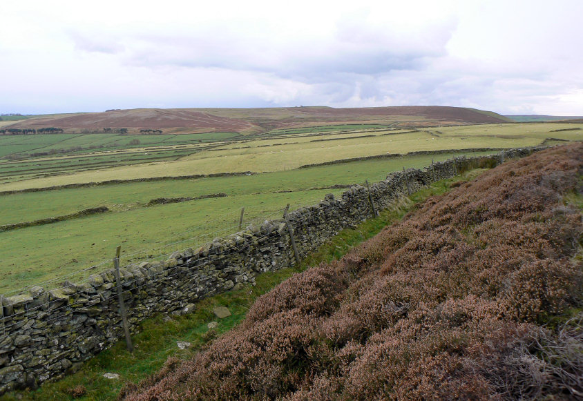 Abney Moor Abney Moor